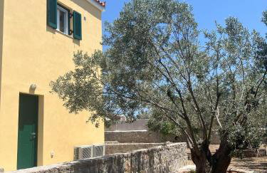 Villa Eleni Aegina - Foto 12