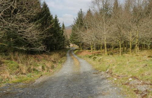 Brithgwm Canol - Foto 22