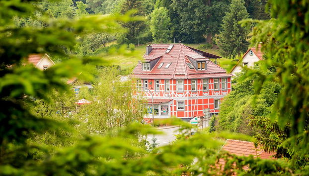 Eishexe - Foto 2, Profilbild