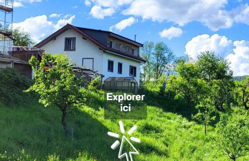 Coeurvert Calme en clairière - Ruhe in der Waldlichtung - Forest clearing stillness - Foto 1