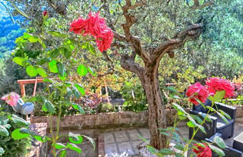 Tenuta Buonocore - Foto 53