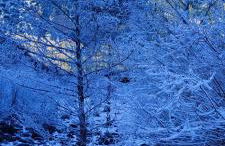 Suite Vistas Únicas a Ordesa y MontePerdido - Piscinas - Barbacoa - Photo 25