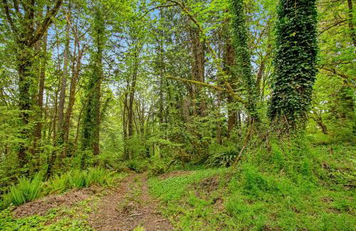 The Glen Cove Sand Spit & Guest Cottage - Foto 62