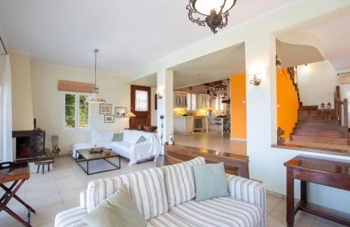 Boutique Villa Andronice - Foto 44