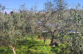 Sandy Beach Studio - Foto 21