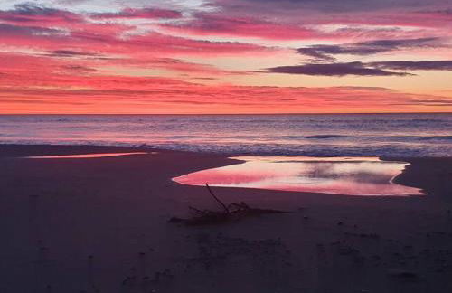 T2 cosy à la plage, terrasse vue sur mer et parking privatif - Photo 18