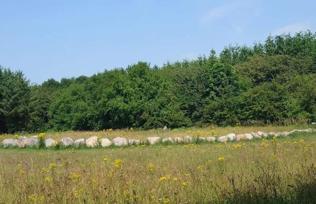 10 Person Holiday Home in Dragor-by Traum - Foto 16