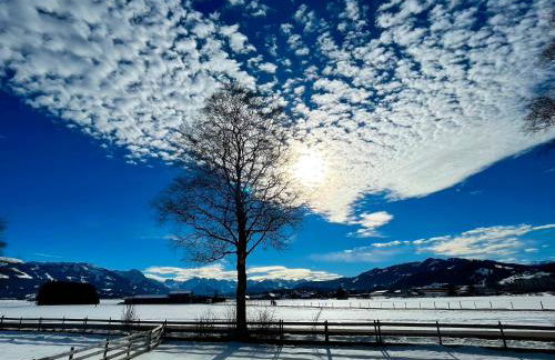 Ferienwohnung Almenrausch mit 110 m2 und sonniger Terrasse - Photo 25