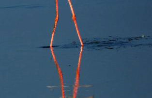Alojamiento rural Masía Valldepérez - Foto 30