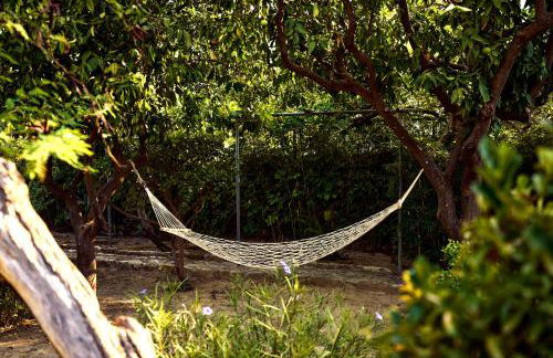 Muazzo Historic Residence, a modernized gem, By ThinkVilla - Foto 22