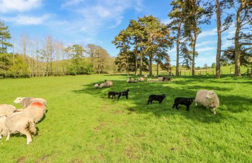 Herdie Hideaway - Foto 13