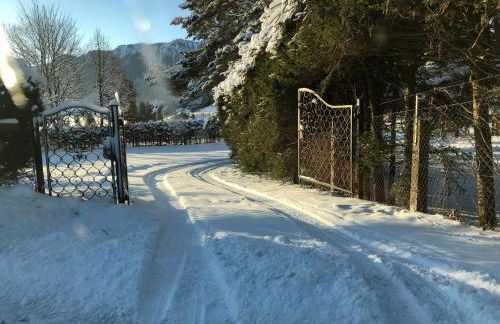 Ferienhaus Veronika mit 2000qm Garten und Bergblick - Photo 41