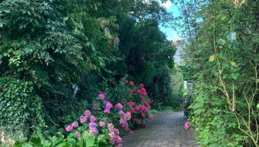 Residence Rokia - Foto 5