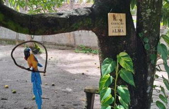 Casa Recanto das Mangueiras Japaratinga - Alagoas - Foto 35