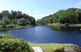 Brackenbrae Holiday Cottage - Photo 45