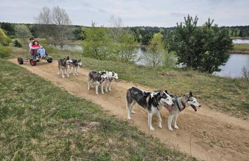 Agroturystyka Traperska Osada - Foto 71