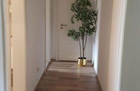 Wohnung am Hauptmarkt! - Foto 2