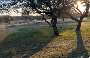 Oakridge Ranch: Pool + Hot-tub, Pickleball Court, Whiskey & Wine Room - Foto 120