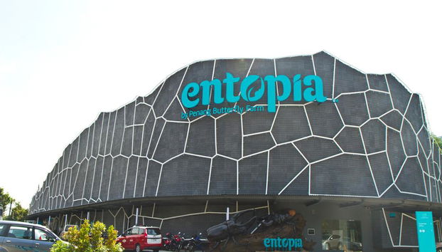 Half Day Botanical Garden And Butterfly Farm - Foto 2