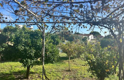 Rest & Relax holiday house in Katakolo - Foto 32