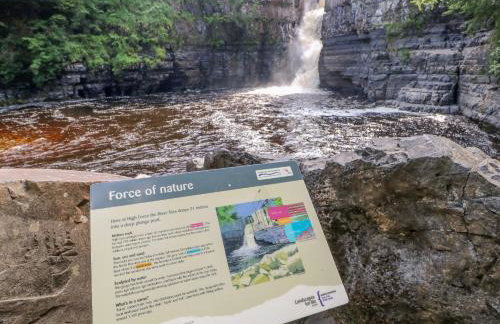 18 Thorngate Wynd - Photo 49