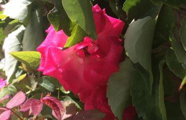 Anna's Stone House - Foto 54