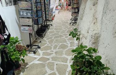 Politis' wooden house - Foto 30