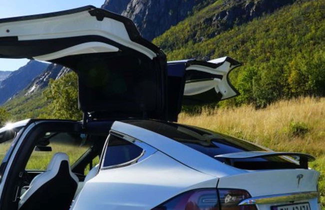 Tour panoramico dei fiordi norvegesi in Tesla - Foto 1