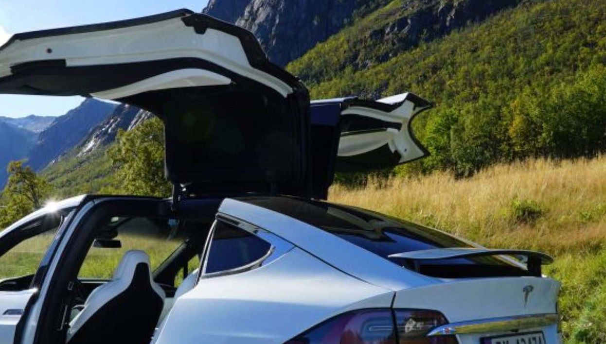 Tour panoramico dei fiordi norvegesi in Tesla