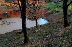 The StoneHouse - Photo 11