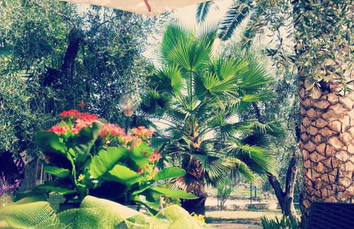 Villa Vale Mery - Foto 1