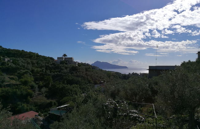 Agriturismo Oleum - Foto 47