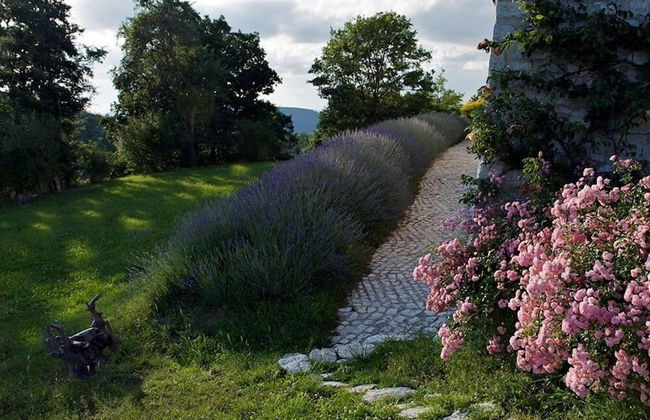 Borgo La Torre - Photo 34