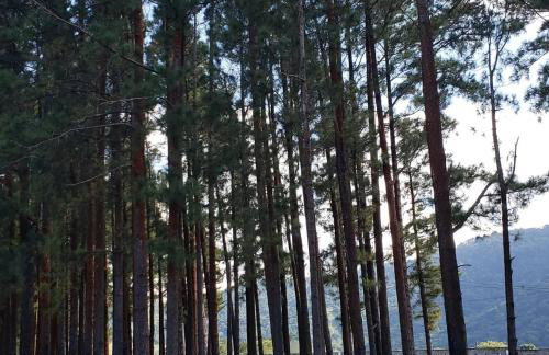 Aldeia dos reis - Mangaratiba - Loft 409 bl 02 - Foto 25