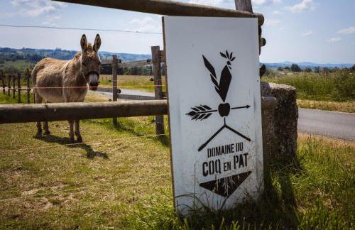 Domaine du COQ en PAT - Foto 41