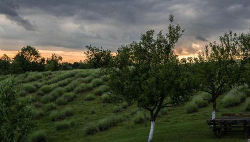 Lavanda farm apartmani - Foto 3