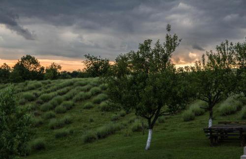 Lavanda farm apartmani - Foto 3