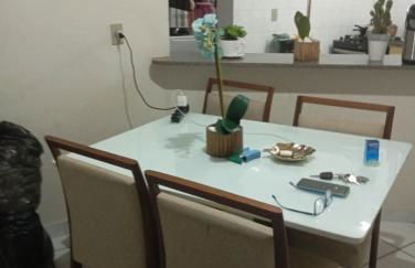 Salvadora dos Santos - Foto 12