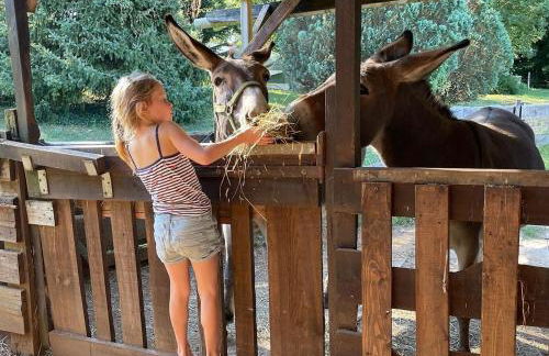 Le Bon Chemin gite - Foto 35