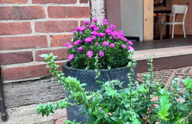 Wendlandhof Lüggau - Foto 75