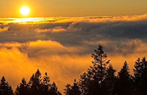 Fidelis-Bühl Muggenbrunn - Foto 6