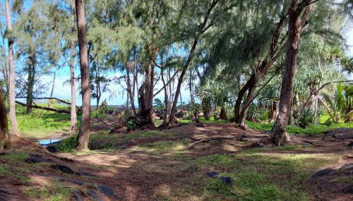 Ainaloa home of Big Island for Double size bedroom - Foto 3