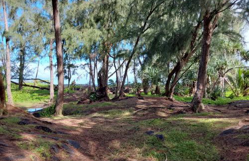 Ainaloa Home of Big Island for Queens size bedroom - Photo 3