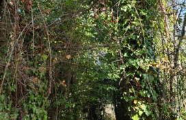 Casona El Chaparral - Foto 20