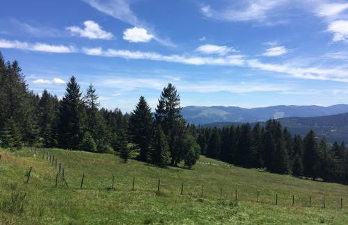 Le petit Kichon - Foto 31