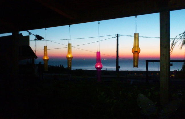 Oca Giuliva - Foto 32