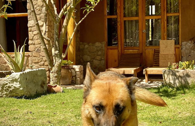 URUHome Cusco - Foto 23