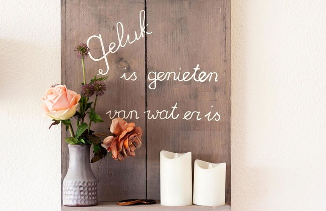 House With Sauna, Outdoor spa and Pedal Boat in Vlagtwedde - Photo 3