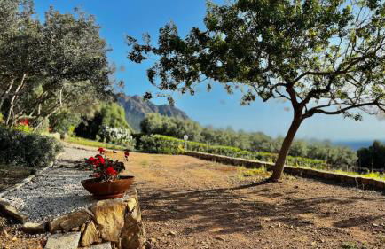 La PAVONCELLA 2 - Foto 18