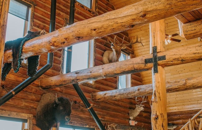 Bar N Ranch - Photo 2